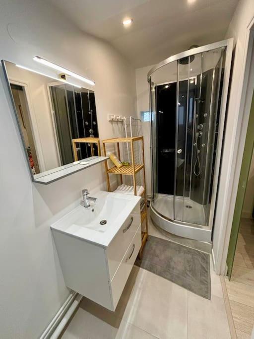 L'Escobar Troyen Apartamento Troyes Exterior foto